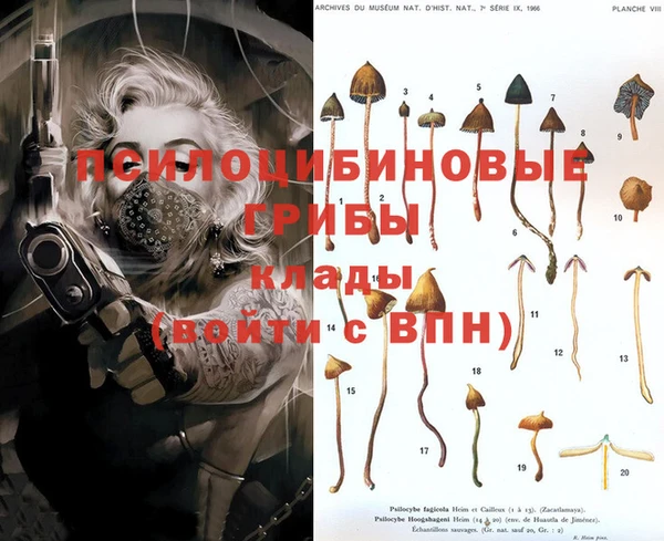 круглые Дмитриев
