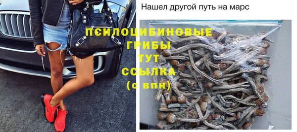spice Дмитровск