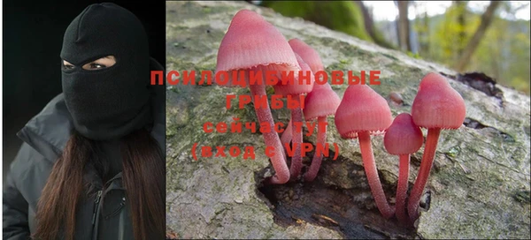 spice Дмитровск