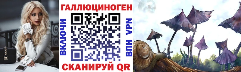 Купить где Спасск Псилоцибиновые грибы прущие грибы